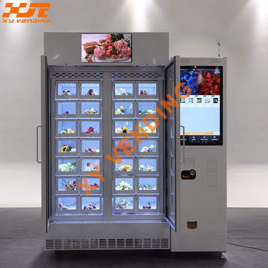 Sistema di raffreddamento Xy, armadietto, distributore automatico, fiori, DPI, cibo, snack, bevande, giocattoli per la cura del bambino